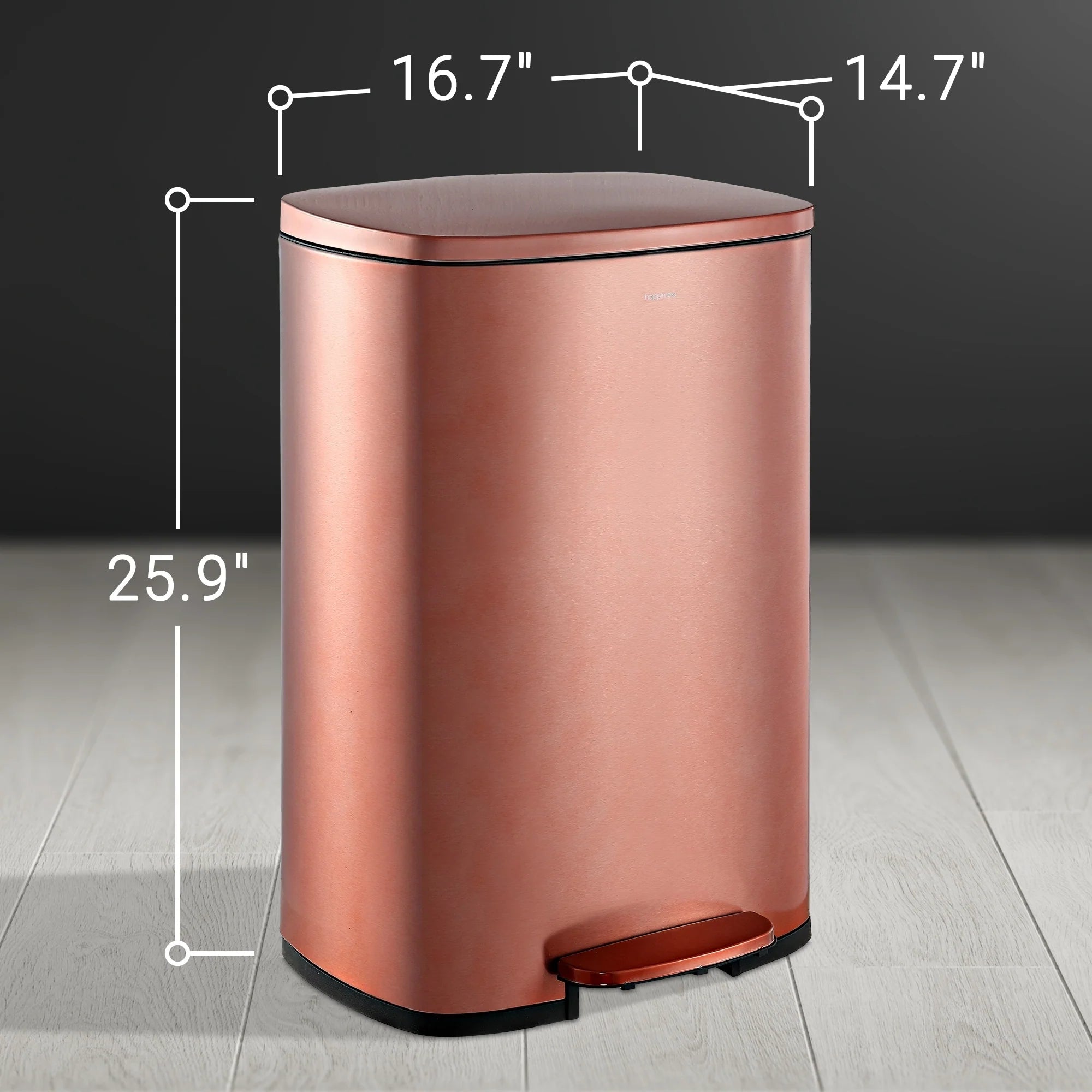 happimess 13-Gallon Trash Can with Soft-Close Lid and FREE Mini Trash Can