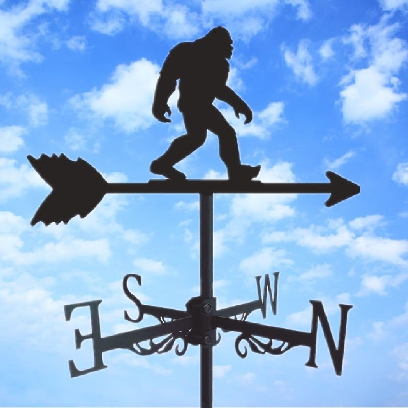 🔥LAST Sale 49% OFF - 🏠Weathervane